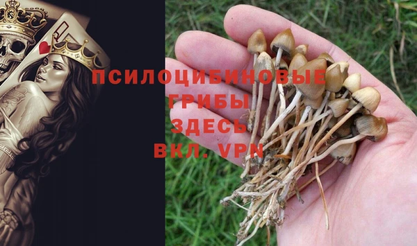 ПСИЛОЦИБИНОВЫЕ ГРИБЫ Киреевск