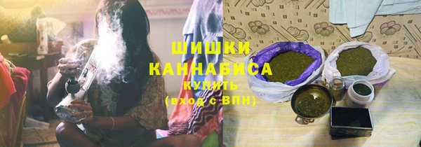 амф Козельск