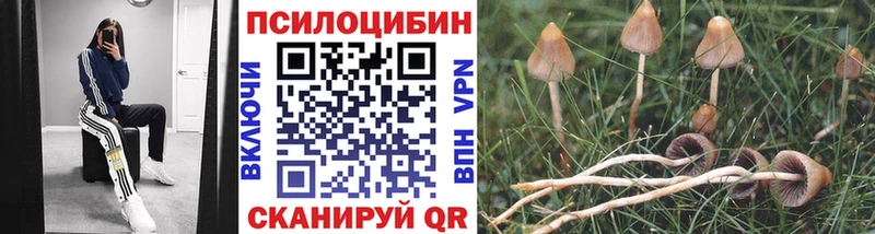 mega ТОР  площадка формула  Кинешма  Псилоцибиновые грибы Magic Shrooms  как найти закладки 
